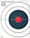 1stR308.gif (377680 bytes)